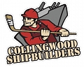 Collingwood Minor Ball Hockey