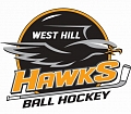 West Hill Minor Ball Hockey