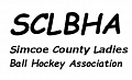 Simcoe County Ladies Ball Hockey League