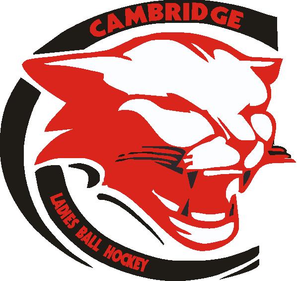 Cambridge Ladies Ball Hockey League